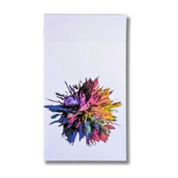 Eco-Shipper paper mailer with custom digital print.
