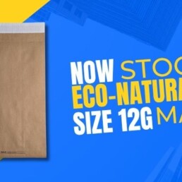 Image of Eco-Natural Lite 12G Paper Shipping Bags.