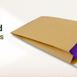 Various sized recyclable paper mailers and shipping bags.